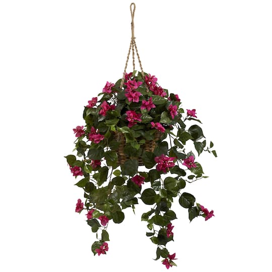 2.5ft. Bougainvillea Hanging Basket